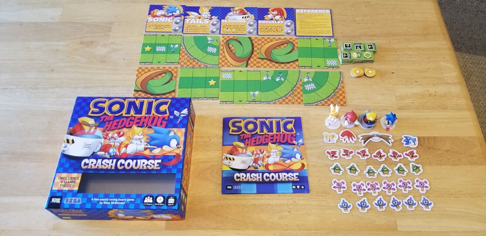 Sonic the Hedgehog Crash Course Game