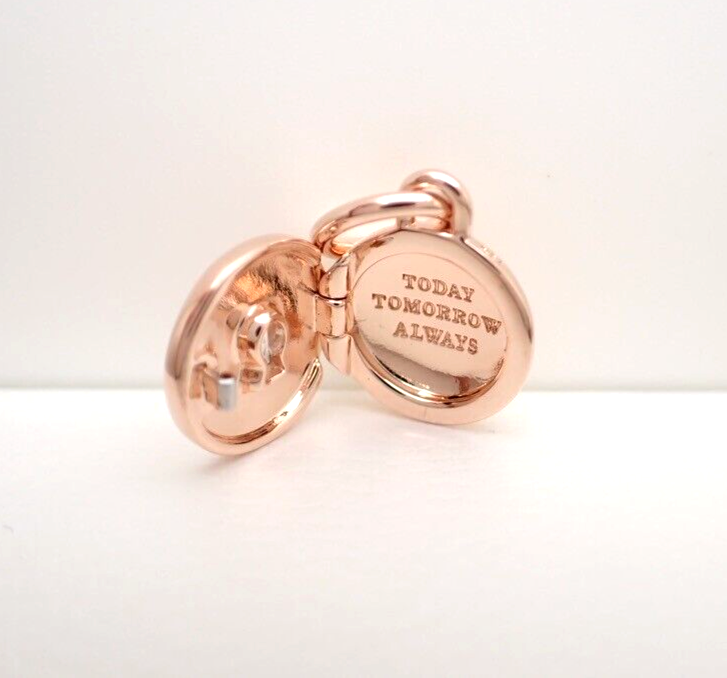 Authentic Pandora #783066C01 Openable & Engraved Love Locket
