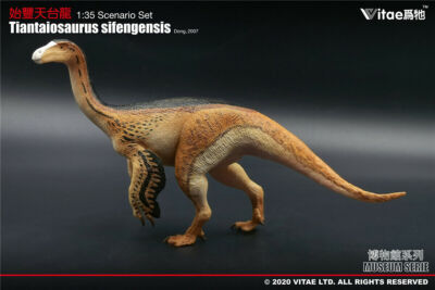 1/35 Vitae Tiantaiosaurus sifengensis Dong A Model Dinosaur Figure Animal Decor