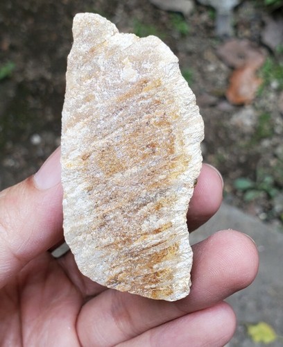 98gr Natural Rough Silicified Coral Fossil - Picture 7 of 7
