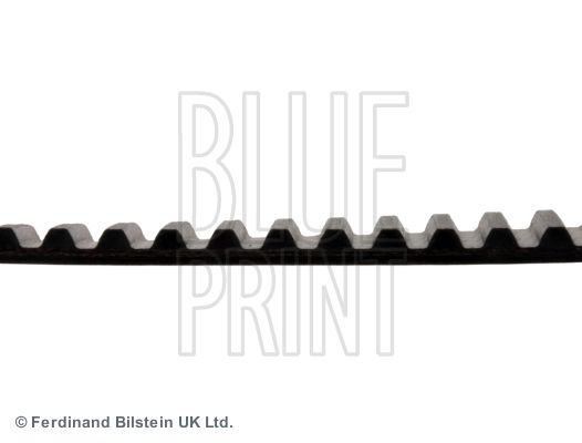 Blue Print ADT37665 Spannrolle, Zahnriemen FüR CitroËN Fiat Lancia Peugeot-image