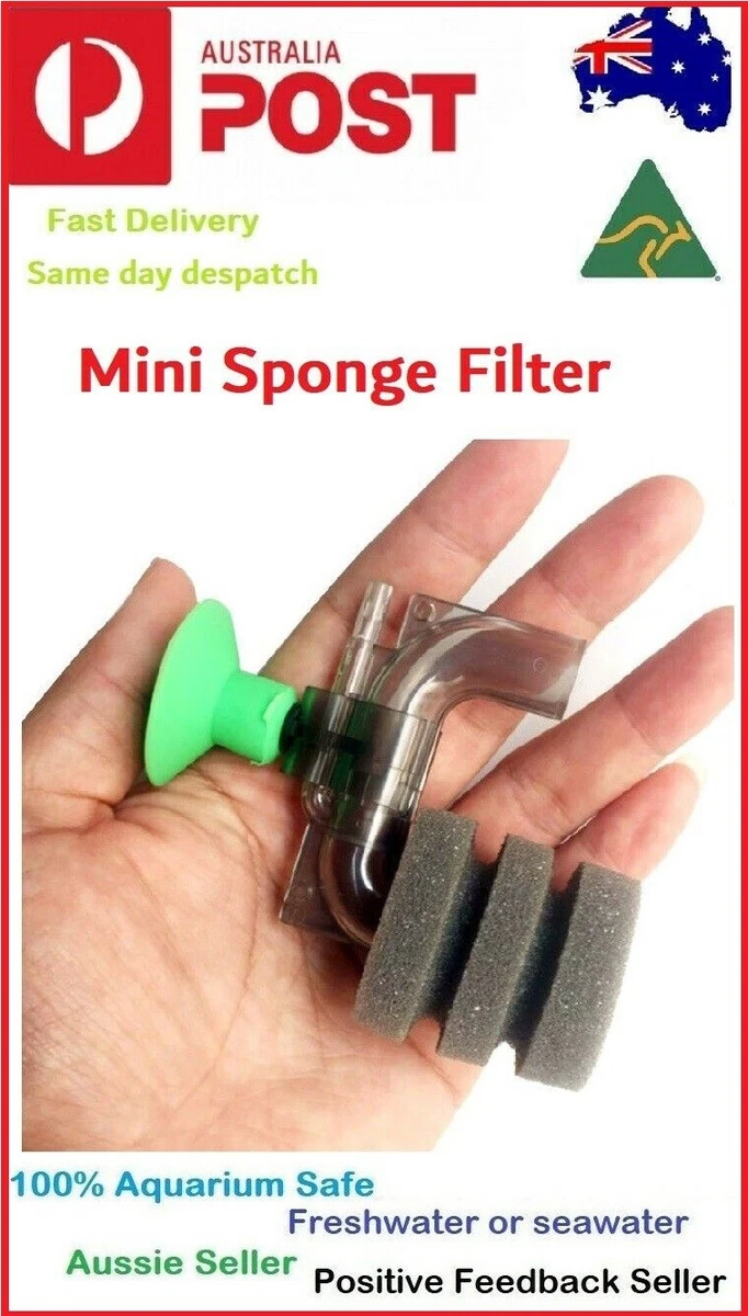 Small sponge filter for betta sale