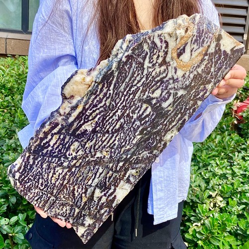 6.5LB Natural zebra stone slices/black stripes/purple fluorite symbiosis - 第 11/12 張圖片