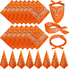 24 Pack Paisley Bandanas Bulk Unisex Cowboy Bandanas Head Scarf Necktie Face Cov