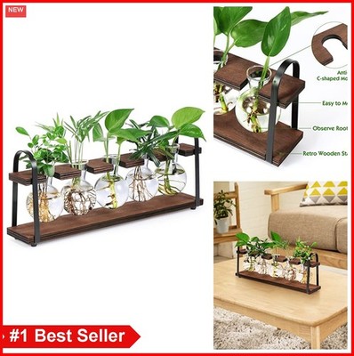Plant Propagation Station Desktop Wood Stand Glass Bulb Vase Hydroponic Rooting