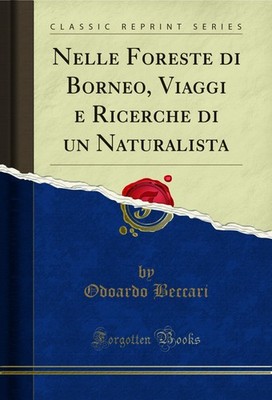 Nelle Foreste di Borneo, Viaggi e Ricerche di un Naturalista (Classic Reprint)