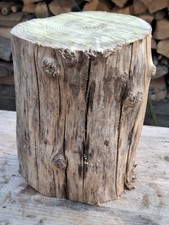 DEKO Baumstamm AKAZIE TROCKEN