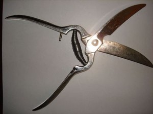 Mars grooming scissors/sheers.