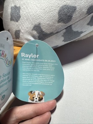 Squishmallow Raylor il pastore australiano nuovo con