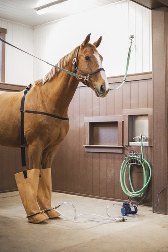 Therapeutische Whirlpool-Pferdestiefel - MADE IN AMERICA