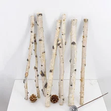 1Pc Natural Dried Tree Branch Birch Stick Flower Home Garden Party Floral Decor