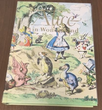 Alice in Wonderland Through the Looking Glass Illustrated Junior Library 1981