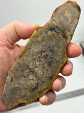 Coprolite Petrified Dino DoDo Slab Cabbing Lapidary Utah Combo Ship Avail