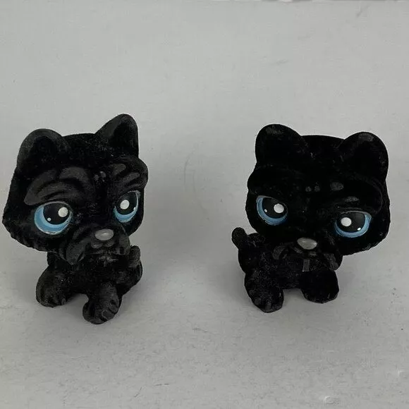 Littlest pet shop v  Black Friday Pontofrio