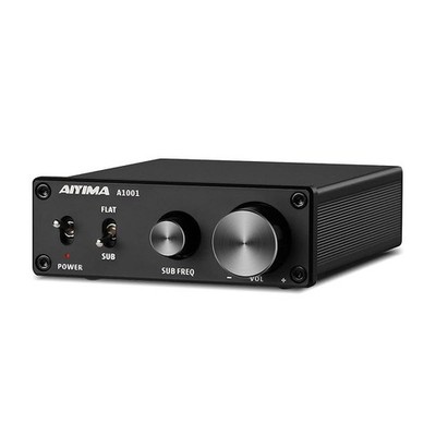 AIYIMA A1001 100W Mono Subwoofer HiFi Power Amplifier TPA3116D2