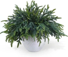 12 Pcs Pine Branches - Real Touch Artificial Pine Stems - Christmas Greenery Pic