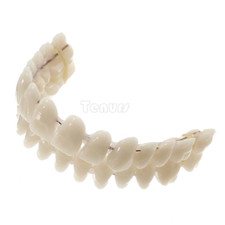 1setResin Teeth 22/23/24 A2 Denture Manufactured Artificial Preformed Dentition