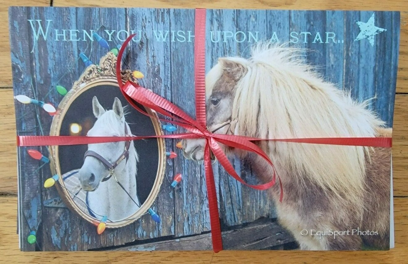 SILVER CHARM & LITTLE SILVER CHARM SET OF 10 CHRISTMAS CARDS O. F