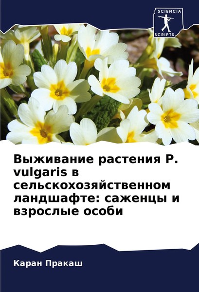 Karan Prakash | Vyzhiwanie Rasteniq P. Vulgaris W Sel'skohozqjstwennom...-image