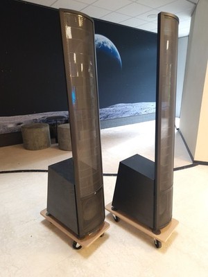 Martin Logan Theos Elektrostaten Paar Anleitung Staubhüllen
