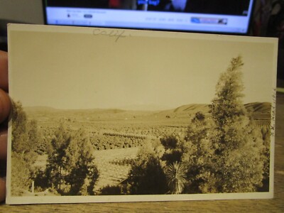 D3 CALIFORNIA Old Postcard Real Photo Loma Linda Mount San Jacinto Orange Groves