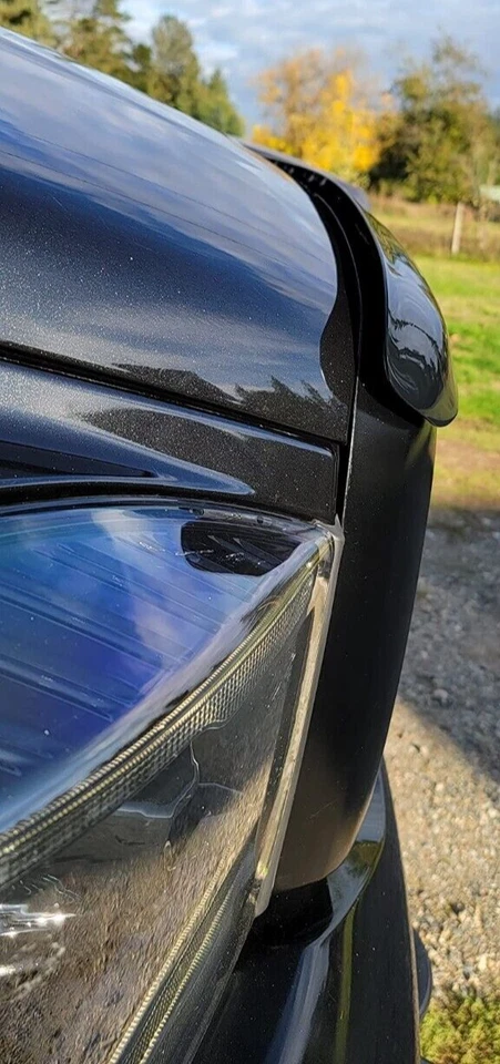 Protector de capó BugFlector II deflector protector contra insectos para Ram 1500 2500 3500 2006-08 Foto 4 de 4