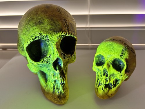 2 EA. FLUORESCENT YELLOW SKULLS 1 LARGE SKULL 1 MEDIUM SKULL GLOW W/ BLACK LIGHT