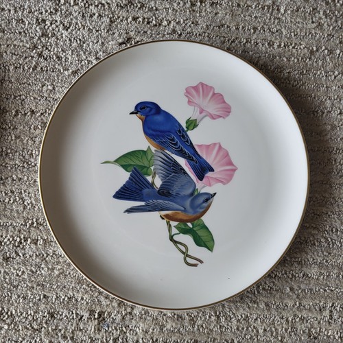 Set 4 Athos Menaboni American Song Bird Plates Syracuse China Wren Kinglet MINT - 第 5/14 張圖片