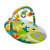 Infantino Topsy Turvy Explore And Store Activity Gym Turtles, New, Free Shipping Infantino Topsy Turvy Explore And Store Activity Gym Turtles, New, Free Shipping
