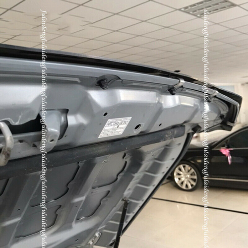 For Toyota FJ Cruiser 2007-2021 Car Bug Shield Hood Deflector Guard Bonnet Cover - Picture 5 of 7
