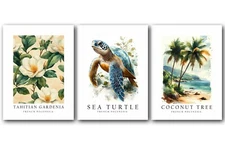 French Polynesia National Symbols, Set of 3 Poster Prints, Wall Décor, Unframed