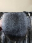 Bild 8 von 10