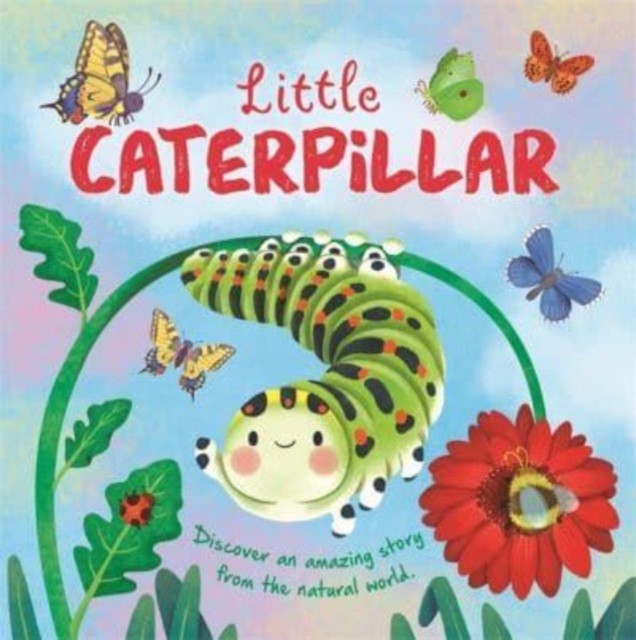 Little Caterpillar by Autumn Publishing (Hardback Book)