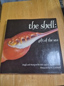 THE SHELL BOOK - Gift Of The Sea - Published In 1984 Hardcover
