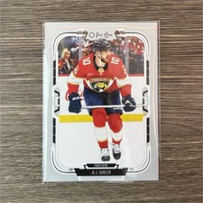 2025-26 O-Pee-Chee Florida Panthers A.J. Greer #197