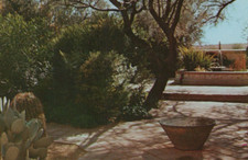 The Patio Garden at Tumacacori National Monument AZ Chrome Vintage Post Card