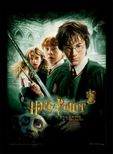Harry Potter - Chamber of Secrets -  Official 30 x 40cm Framed Print Wall Art