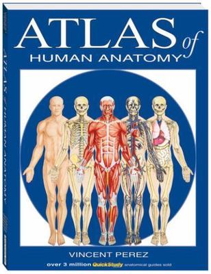 Atlas Of Human Anatomy; Quickstudy Books - 1423201728, paperback, Vincent Perez