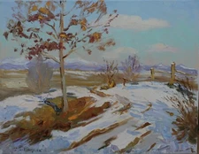 Original Spring landscape in Zakarpattia Oil Artwork Impressionism ART