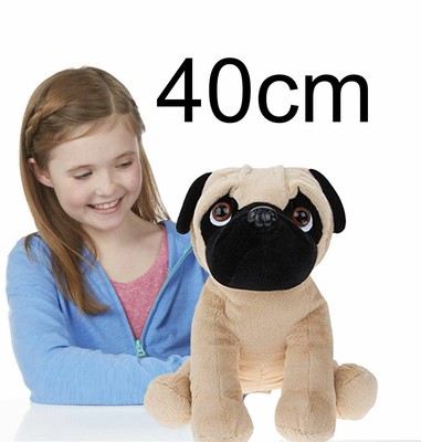 massive pug teddy