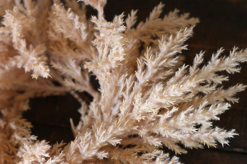 Anillo Vela Pilar Pampa Hierba Artificial Floral Beige Neutro Decoración 3.5 pulgadas Foto 3 de 4