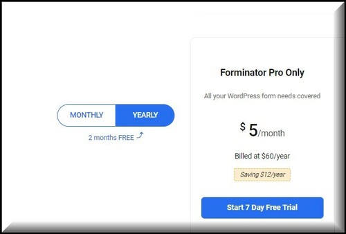 WPMU DEV Forminator Pro Original (Not GPL) - WordPress Premium Plugin - Picture 5 of 8