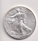 2017 WALKING LIBERTY AMERICAN EAGLE .999 FINE SILVER DOLLAR COIN 1oz. $1 USA