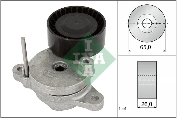 534 0795 10 INA belt tensioner, V-ribbed belt for Citroën, Opel, Peugeot