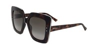 Jimmy Choo Auri/G/S Havana 53/22/145 Damen Sonnenbrillen