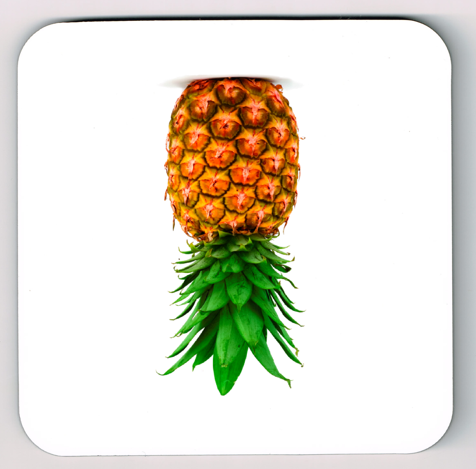 Pineapple Coaster, Upside Down Swingers Pineapple Coaster, Swingers Coasters