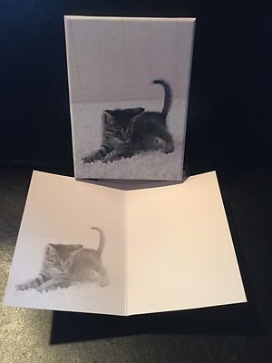 Box Of 15 Kitten Kitty Cat Note Cards Envelopes Stationary Paper Office Blank 