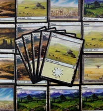 MTG Basic Land Pack (Magic The Gathering) - 25 Basic Plains