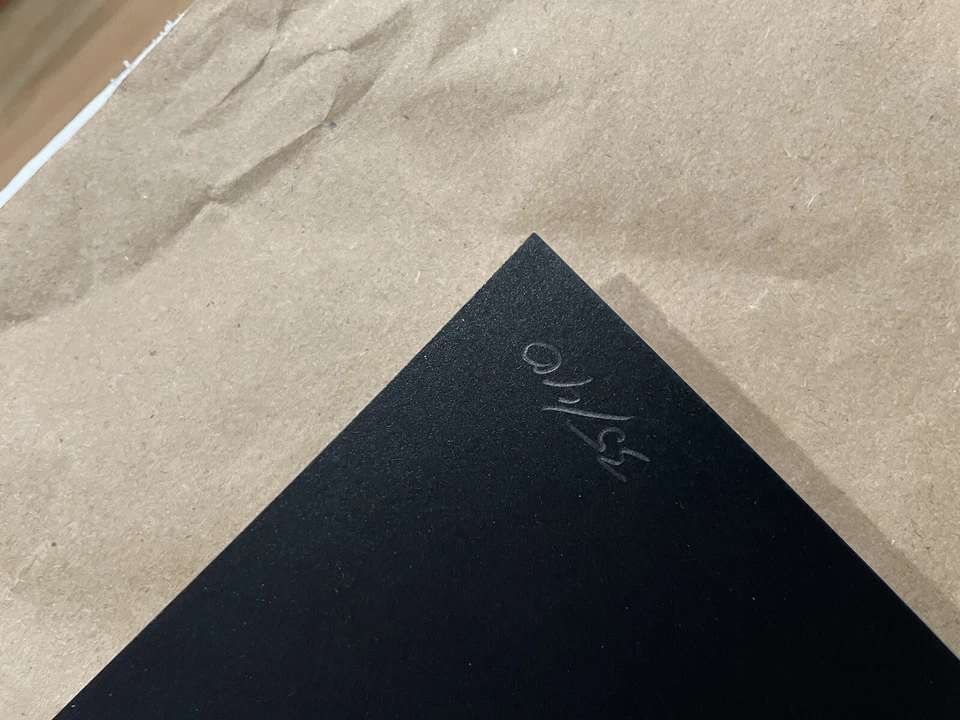 SCREAM Poster ENZO SCIOTTI Screen Print MONDO Style 24x36 Numbered 35/40 - Image 4 of 4