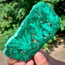 323G Natural glossy Malachite transparent cluster rough mineral sample